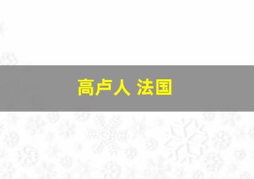 高卢人 法国